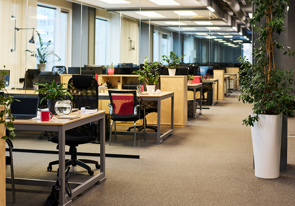 wide shot of office desks and chairs with plants all around