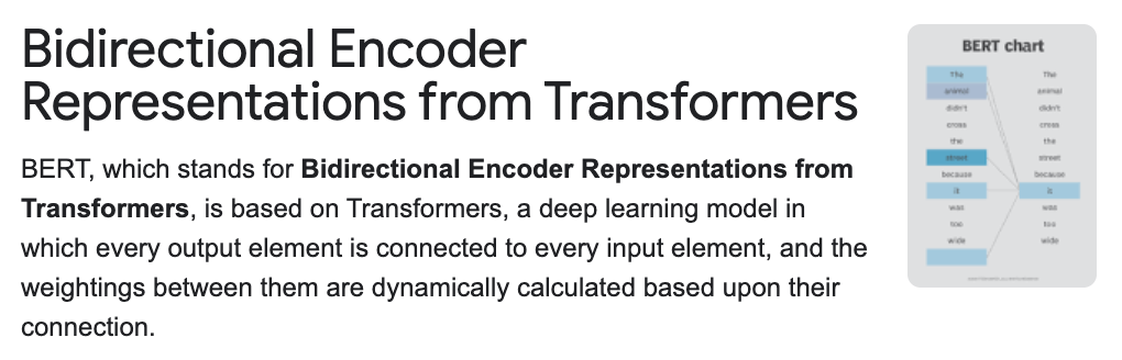Ranked passage for the ddefinition of the BERT Google algorithm update