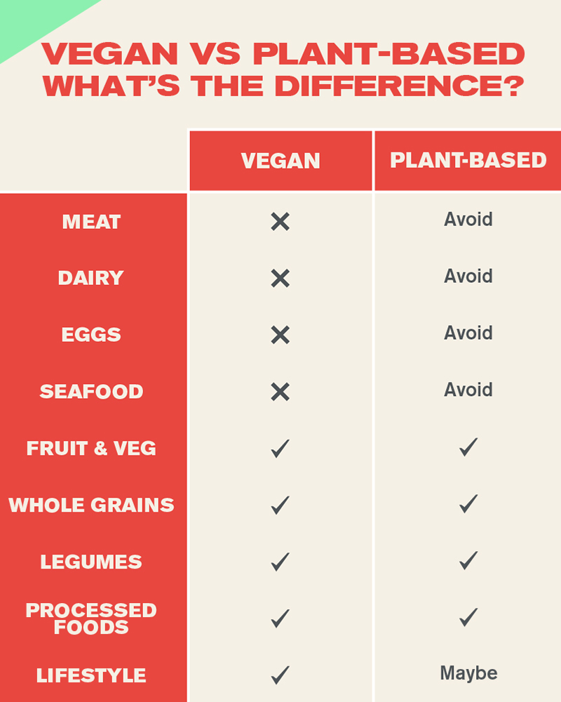 Vegan marketing infographic, what's the difference between vegan and plant-based