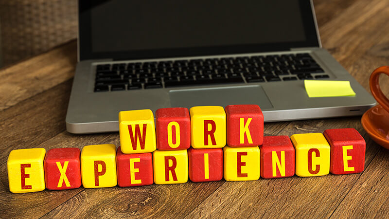 Work Experience