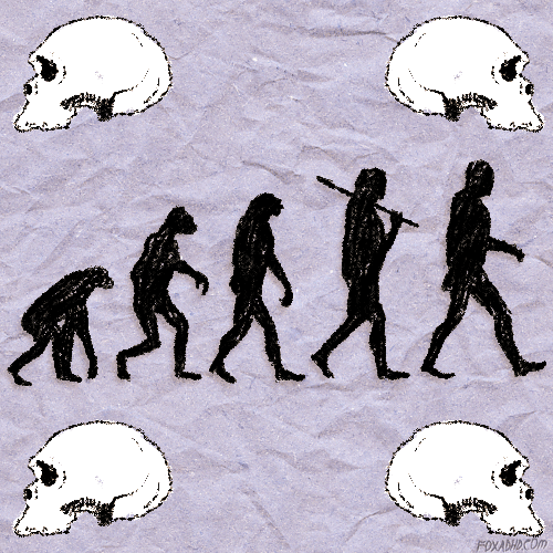 a silhouette of the different stages of human evolution in a row on purple crumpled background with a white skull in each corner