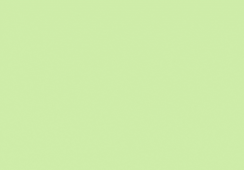 Search, the new seo text, slides onto light green screen